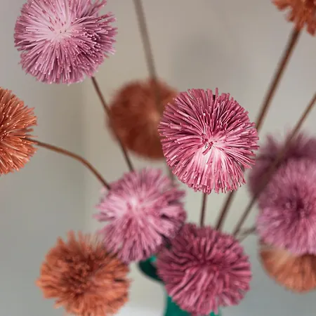 Ester's Szentbekkalla