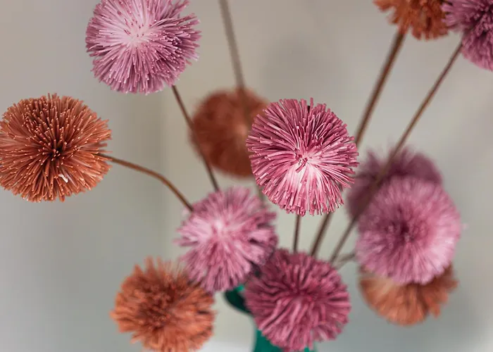 Ester's Szentbekkalla